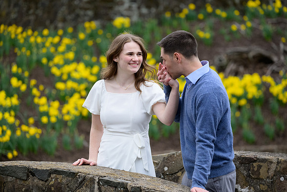 Spring Daffodil Engagement Session-Hubbard Park, Meriden, Connecticut