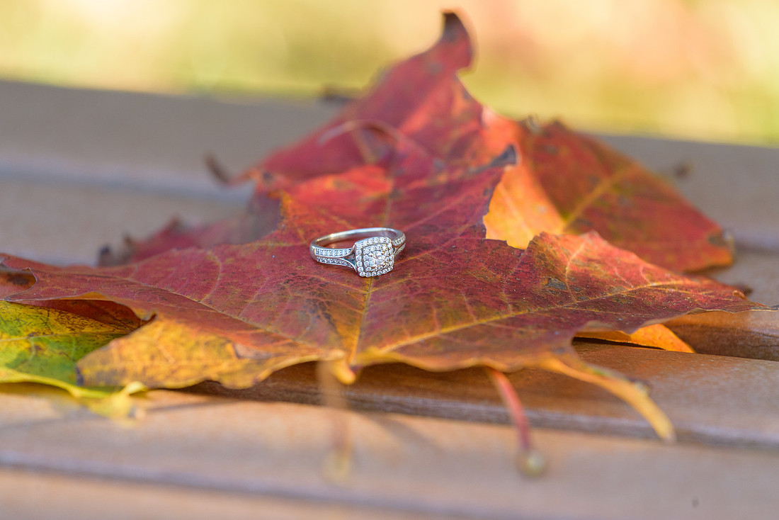 Gordon Engagement 105.jpg