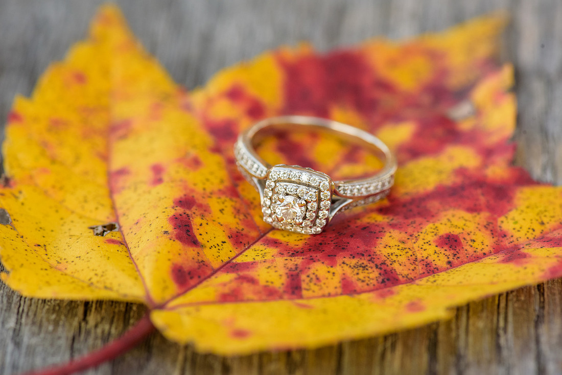 Gordon Engagement 132.jpg