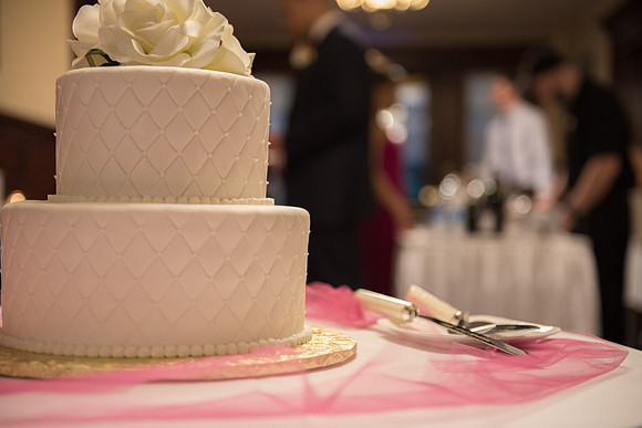 Tarrywile Mansion Park Wedding in Danbury, Connecticut