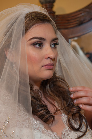 Lavnder and Old Lace wedding ceremony and reception in Mesa Arizona destination wedding
