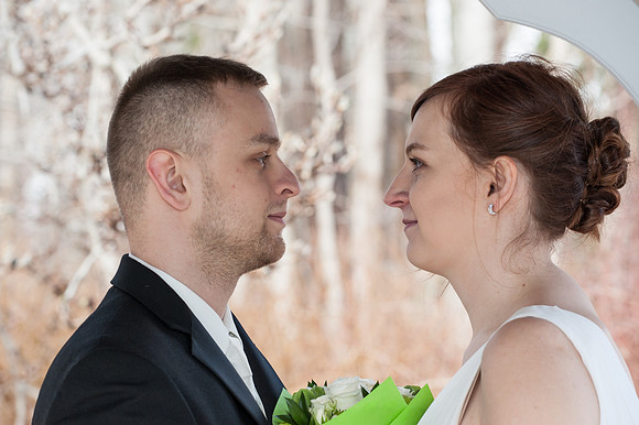 Simple and affordable wedding ceremony and portrait session in Brookfield Connecticut